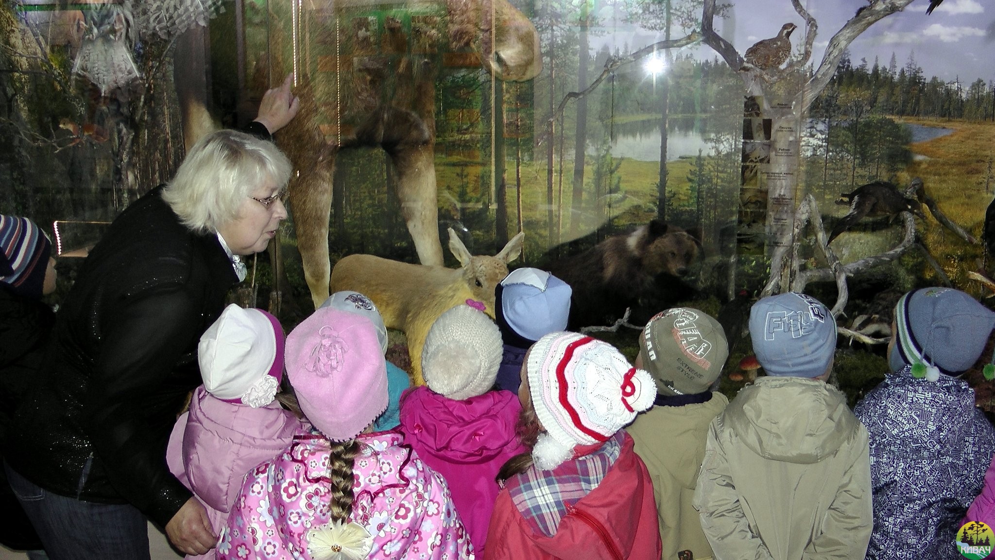 дети из детского сада №6 города Кондопоги на экскурсии в музее природы заповедника Кивач