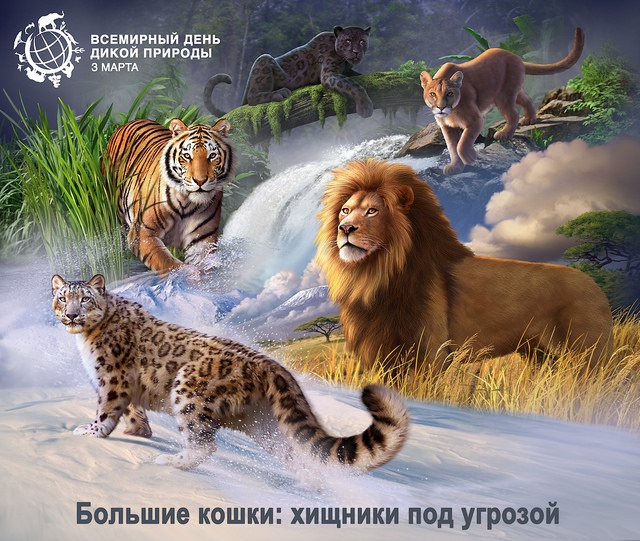 3 марта 2018 Всемирный день дикой природы